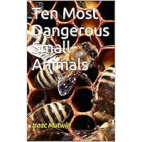 Ten Most Dangerous Small Animals