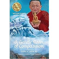 A Gentle Rain of Compassion A Gentle Rain of Compassion Paperback Kindle Audible Audiobook Hardcover