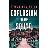 Explosion on the Sound : A Crime/Mystery/Suspense series (On the Sound - A Mystery/Suspense/Crime Series Book 1)