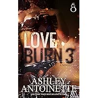 Love Burn 3 Love Burn 3 Kindle