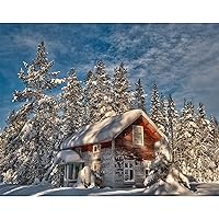 How Many People Remember The Snow Covered House,Jigsaw Puzzles 1000 Pieces for Adults - Large, 30