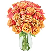 KaBloom PRIME NEXT DAY DELIVERY - Mother’s Day Collection - Two to Tango Orange Roses (Two Dozen) - Without Vase.Gift for Birthday, Sympathy, Anniversary, Easter, Mother’s Day Fresh Flowers