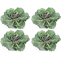 Faux Cabbage Artificial Vegetables Realistic Fake Food Plants Props Artificial Decorative Cabbage Plant for Home Decor Wedding Kitchen Decoration Fake Food Display, Green, 4 Pc Set