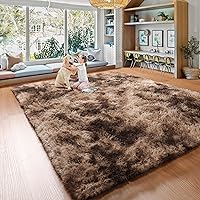BSTLUV Soft Shag Area Rugs 4x6 Brown Fluffy Fuzzy Carpet for Bedroom Floor, Non Slip Furry Throw Rug for Living Room Bedside Dorm Nursery Kids Playroom, Small Accent Rugs for Men Girls Boys