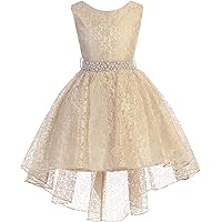 Little Girls Sleeveless Floral Lace Rhinestone High Low Party Flower Girl Dress