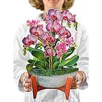 Freshcut Paper Pop Up Cards, 3D Popup Greeting Cards, 12 Inch Life Sized Forever Plant, Birthday Gift Cards with Note Card and Envelope, Faux Orchid Oasis, Best Friend Gift, Paper House Plants