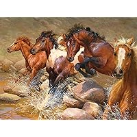 Ceaco - Horses - Wild Wild Horses - 500 Piece Jigsaw Puzzle
