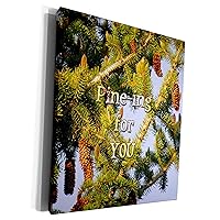 3dRose Pining for you written over a Pine Tree in PV UT - Museum Grade Canvas Wrap (cw_255943_1)