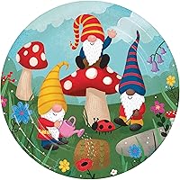 Party Gnomes Paper Plates, 24 ct
