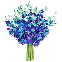 KaBloom PRIME NEXT DAY DELIVERY - Mother’s Day Collection - Exotic Blue sapphire Orchid Bouquet of 20 Blue Orchids .Gift for Birthday, Get Well, Easter, Valentine, Mother’s Day Fresh Flowers