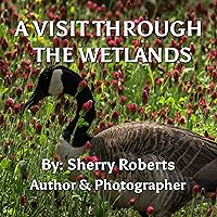 A Visit Through The Wetlands A Visit Through The Wetlands Kindle Paperback