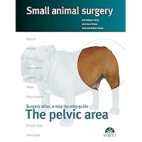 The pelvic area. Small animal surgery