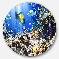 MT7215-C23 Coral Colony & Coral Fish - Seascape Photo Large Disc Metal Wall Art - Disc of 23