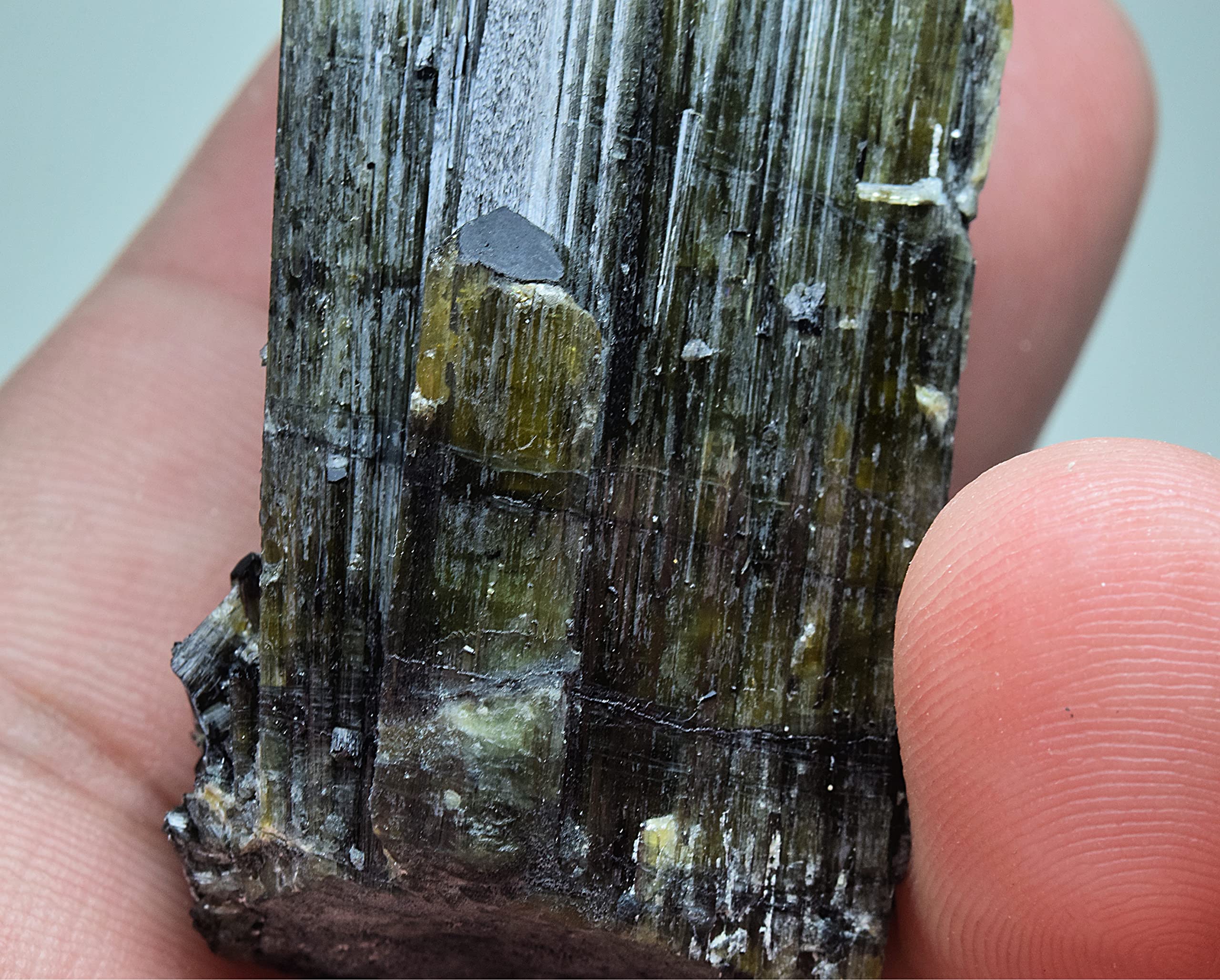 Beautiful Natural Tourmaline Crystal w/Small Tourmaline Cluster on Back 64 Gram