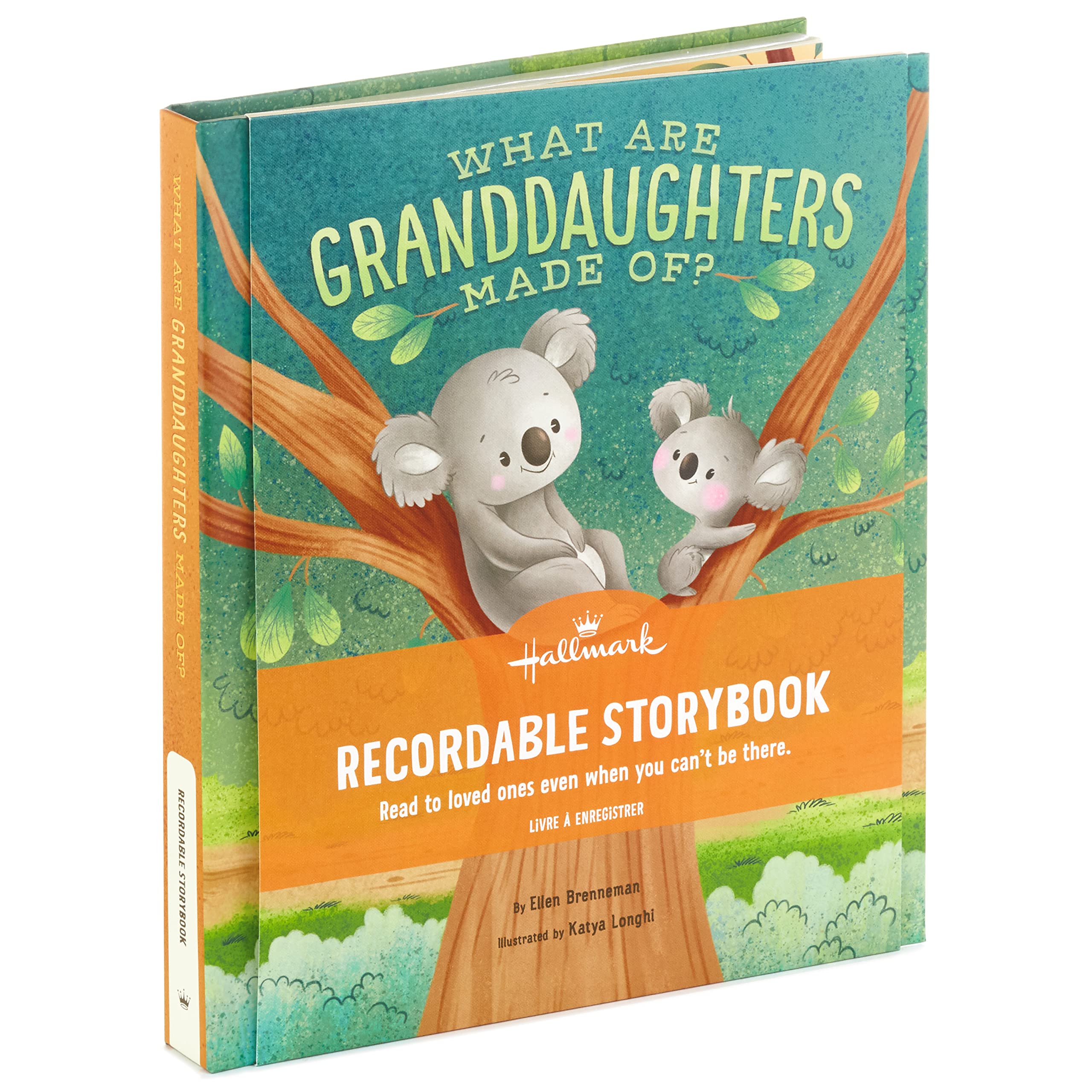 Hallmark Recordable Book for Children (What are Granddaughters Made of?)
