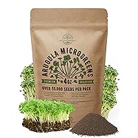 Organo Republic Arugula Sprouting & Microgreens Seeds - Non-GMO, Heirloom Sprout Seeds Kit, 4oz Resealable Bag for & Growing Microgreens in Soil, Coconut Coir, Aerogarden & Hydroponic System
