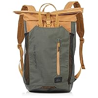 Quiksilver Men's Secret Sesh Backpack GRAPE LEAF 241 One Size