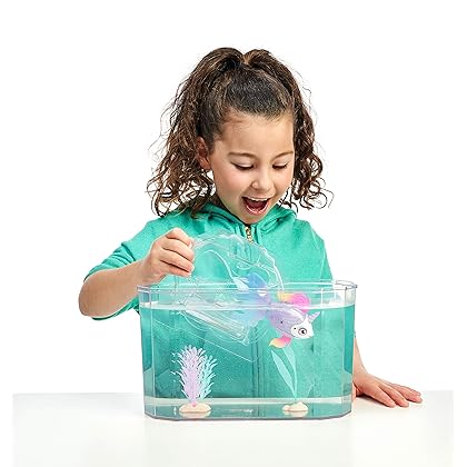 Little Live Pets Lil' Dippers Playset - Magical Water Activated Unboxing and Interactive Feeding Experience - Exclusive Unicorn Fish | for Ages 5+