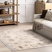 nuLOOM Krystin Distressed Machine Washable Area Rug - 5x8 Machine Washable Area Rug Transitional Beige/Ivory Rugs for Living Room Bedroom Dining Room Kitchen