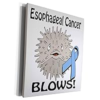3dRose Esophageal Cancer Blows Awareness Ribbon Cause... - Museum Grade Canvas Wrap (cw_115502_1)
