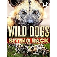Wild Dogs Biting Back
