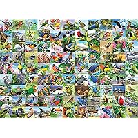 Ravensburger 99 Delightful Birds 300 Piece Large Format Jigsaw Puzzle for Adults - 16937 - Every Piece is Unique, Softclick Technology Means Pieces Fit Together Perfectly