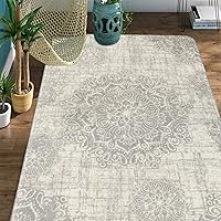 Lahome Vintage Medallion Area Rug - 3x5 Washable Entryway Rug Non Slip Distressed Rugs for Living Room Soft Grey Bedroom Rug, Throw Floor Carpet for Door Mat Entrance Bedrooms Office