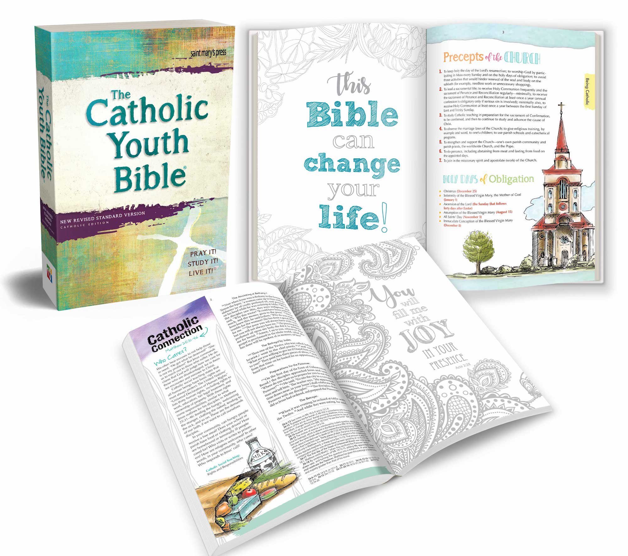 The Catholic Youth Bible, 4th Edition, NRSV: New Revised Standard Version: Catholic Edition