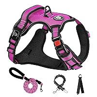 NESTROAD No Pull Dog Harness,Adjustable Oxford Dog Vest Harness with Leash,Reflective No-Choke Pet Harness with Easy Control Soft Handle for Small Dogs(Small,Fuchsia Pink)