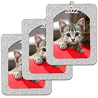 2022 Christmas Photo Frame Ornament, Magnetic Glitter with Non-Glare Photo Protector, Vertical - Silver, 3-Pack