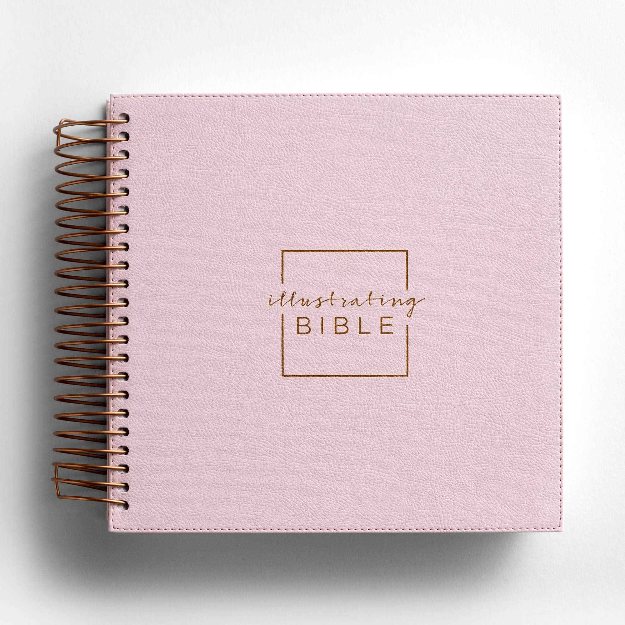 Illustrating Bible NIV Pink (Spriral Bound Journaling Bible)