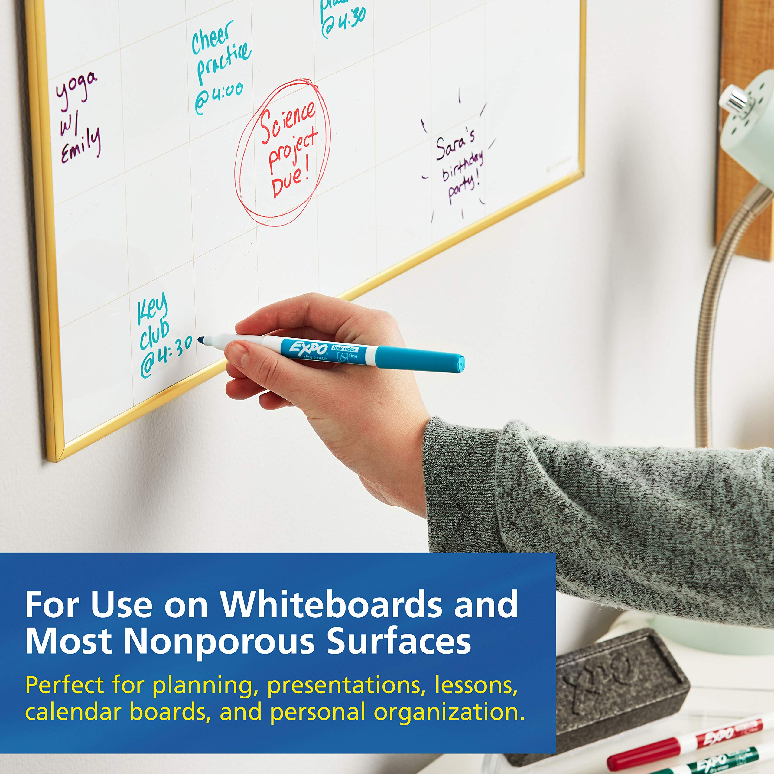 hand2mind Double-Sided Centimeter Grid White Boards for Students, Grid Board for Graphing, Portable Whiteboard, School Supplies, Classroom Supplies & Expo Low Odor Dry Erase Markers, Fine Tip, Black