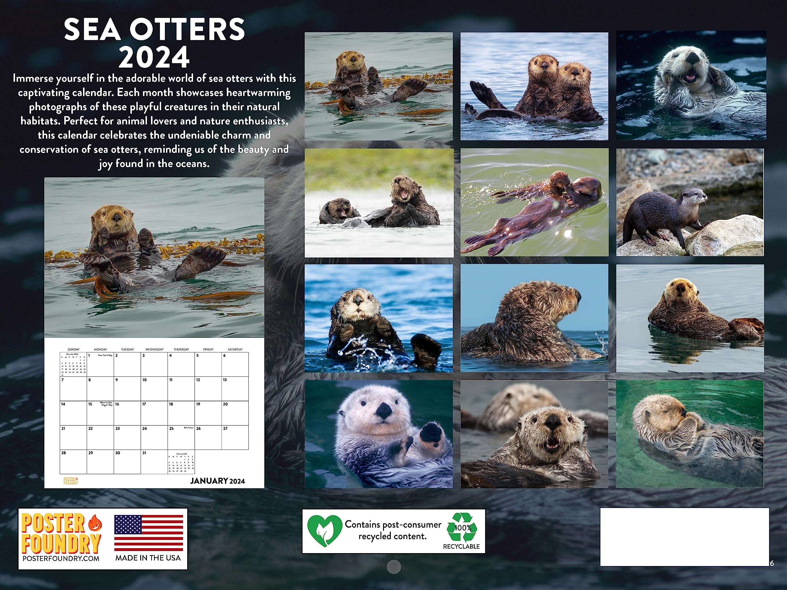 Mua Sea Otter Calendar 2024 trên Amazon Mỹ chính hãng 2023 Fado