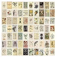 KOSKIMER 70PCS Vintage Wall Collage Kit Aesthetic Pictures, Cottagecore Room Decor for Bedroom, Cute Dorm Photo Posters for Teen Girls, Botanical Wall Art