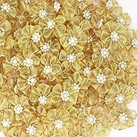 60pcs Craft Organza Flowers with Beads 1.2 in Organza Ribbon Dasiy Flower Appliques for Dress Sewing DIY, Arts Projects, Hair Bows (Yellow)