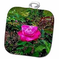 3D Rose Funny Awareness Support Cause Scoliosis Mean Apple Pot Holder, 8 x 8