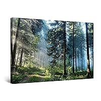 Startonight Wall Art Canvas Road in the Forest, Nature Landscape for Bedroom Picture Framed 24 x 36 Inches