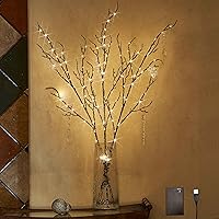 LITBLOOM Lighted Willow Branches Silver Glittered 32IN 120 LED with Timer Battery Operated and USB Plug in, Tree Branch with Warm White Lights for Holiday Christmas Decoration