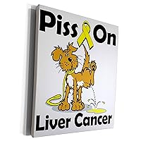 3dRose Piss On Liver Cancer Awareness Ribbon Cause Design - Museum Grade Canvas Wrap (cw_115871_1)