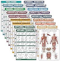 Palace Learning 18 Pack - Exercise Poster Set: Dumbbell, Suspension, Kettlebell, Resistance Bands, Stretching, Bodyweight, Barbell, Battle Rope, Yoga, Exercise Ball, Muscular and More