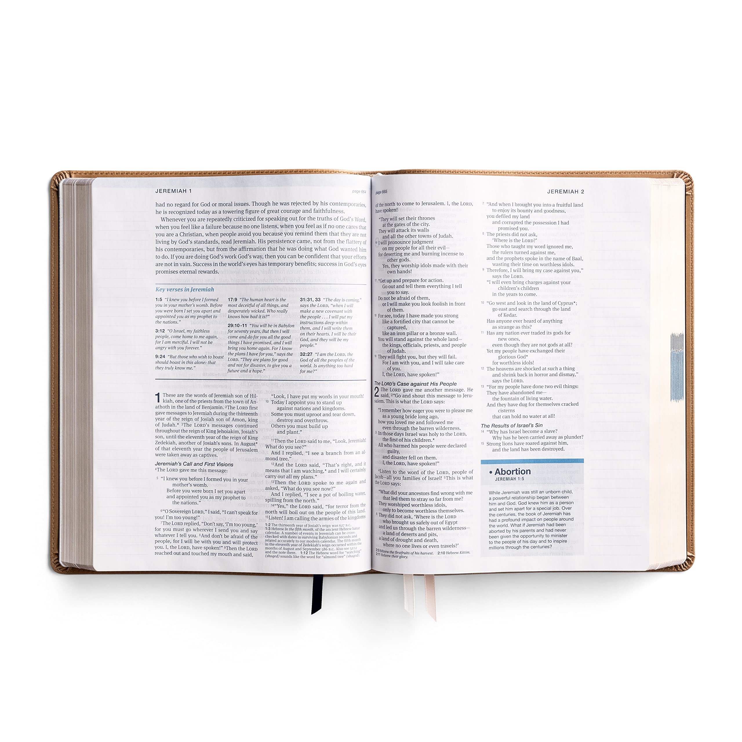 One Step Closer Bible: Large Print Edition - Tan, NLT