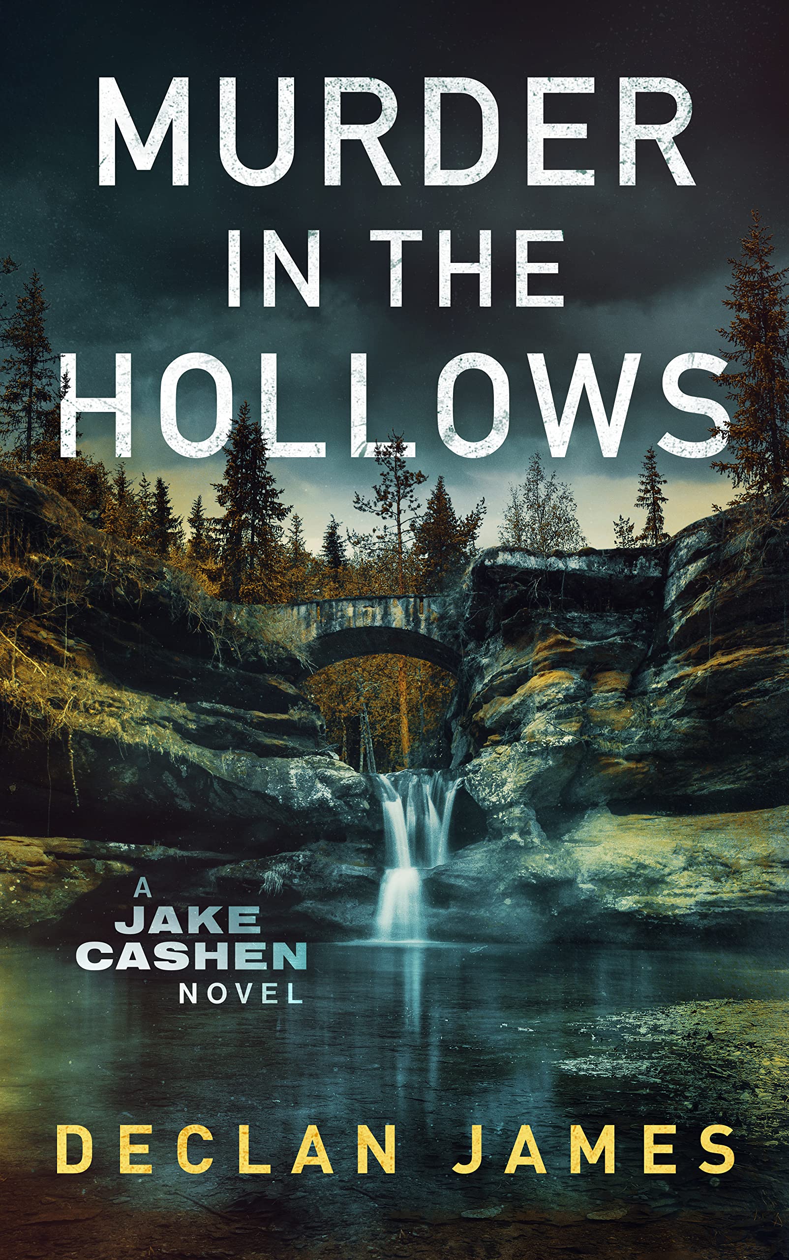 Murder in the Hollows (Jake Cashen Crime Thriller Series Book 1)