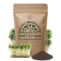 Organo Republic Broccoli Sprouting & Microgreens Seeds - Non-GMO, Heirloom Sprout Seeds Kit, 1lb Resealable Bag for & Growing Microgreens in Soil, Coconut Coir, Aerogarden & Hydroponic