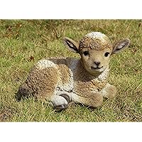 Small Brown & White Baby Lamb Lying Down