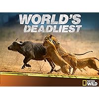 World's Deadliest Season 2
