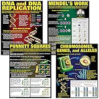 DNA & Heredity Poster Set (P128) 17 x 22 Inch