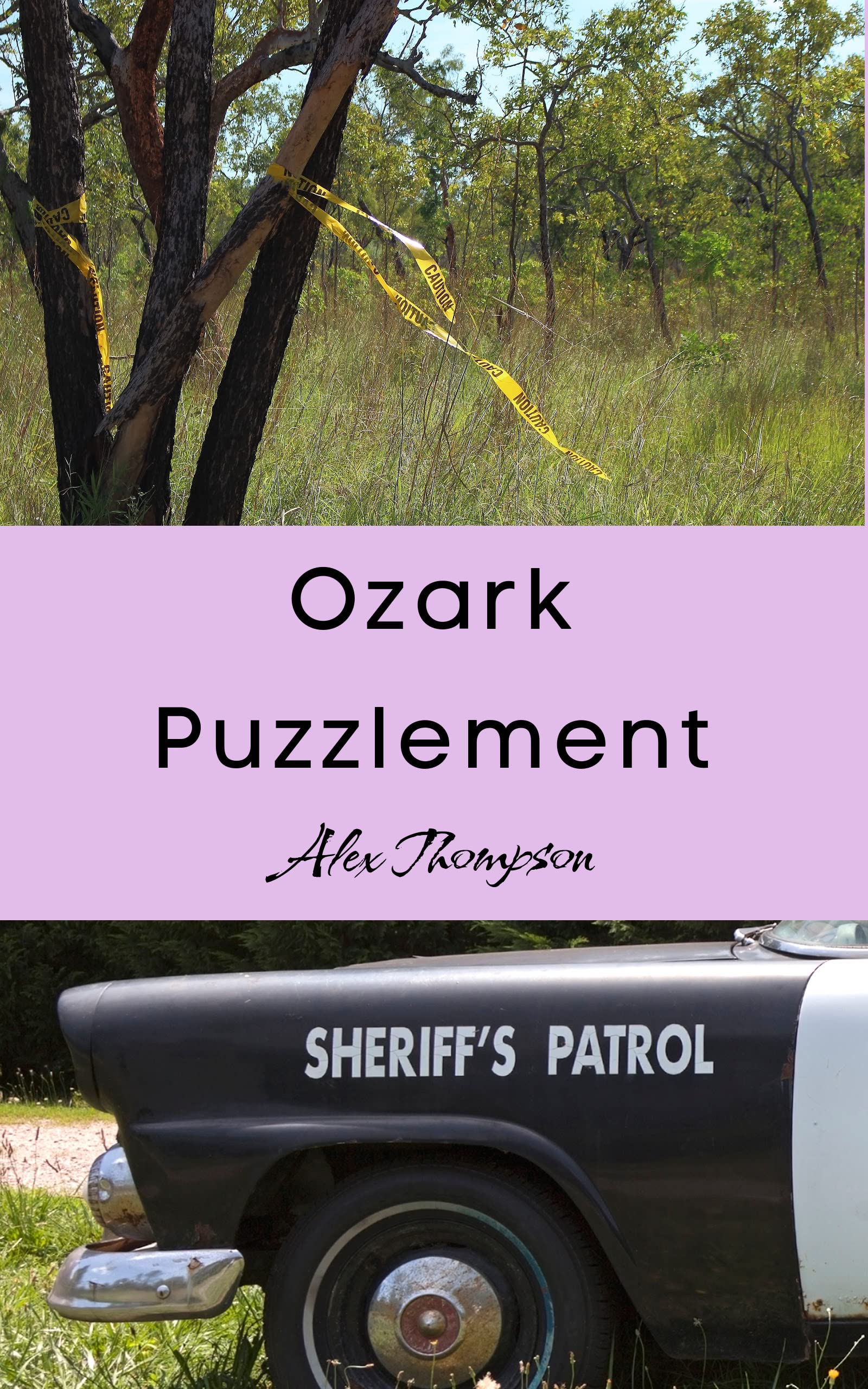 Ozark Puzzlement (Ozark Mysteries Book 1)