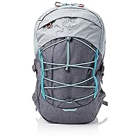 Osprey Quasar Commuter Backpack, Silver Lining/Tunnel Vision Pop