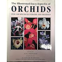 The Illustrated Encyclopedia of Orchids The Illustrated Encyclopedia of Orchids Hardcover Paperback