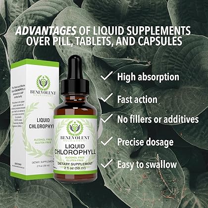Chlorophyll Liquid Drops – Energy Boost | Immune System Support | Internal Deodorant | Altitude Sickness. Premium Quality – 100% Natural, Potent, Minty Taste, 2X Absorption.